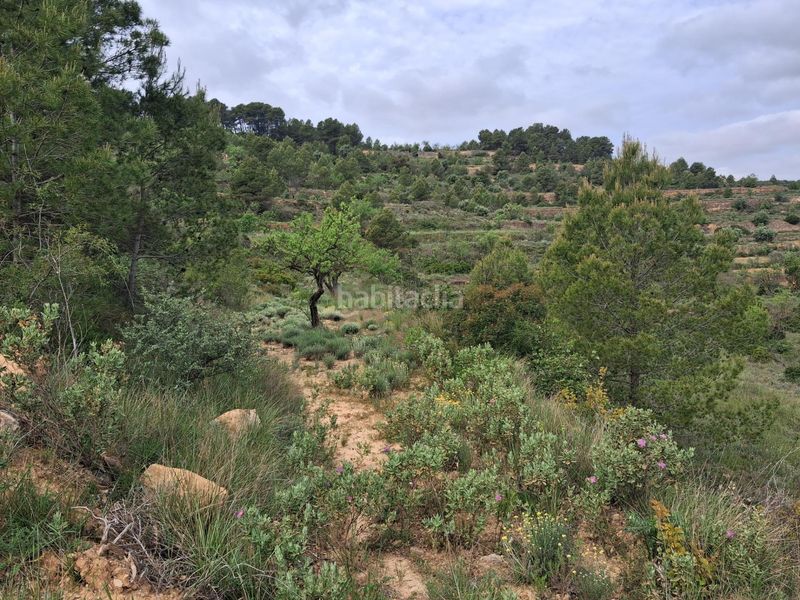 Foto fc815908-9819-4c84-b9a5-47bbf4091ab9. Finca rústica a Gandesa