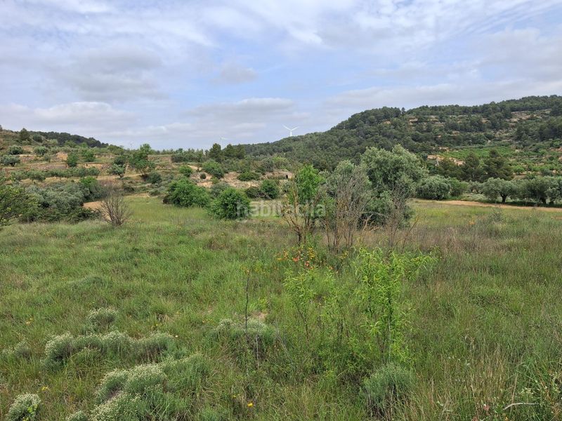 Foto fe4a3112-5ab3-42cf-92c5-ce57a20eb8a6. Finca rústica a Gandesa