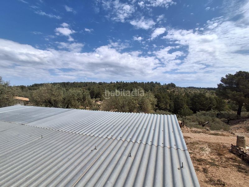 Foto 058a84a1-1d4e-4166-a3c2-09a0e7f3e7c6. Finca rústica a Perelló (El)