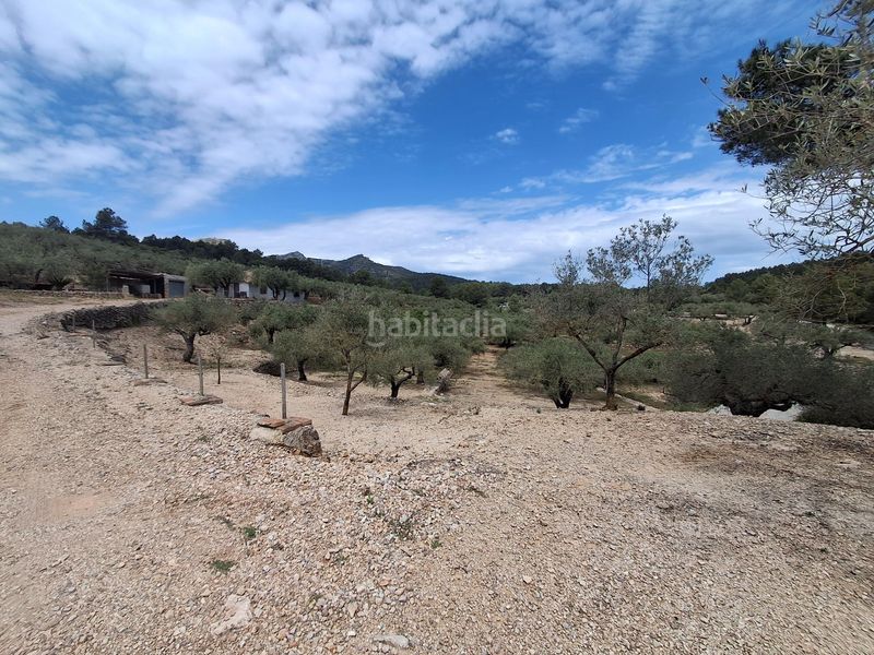 Foto 0d8fe471-767c-4ee1-92b5-bd8ceb70dc17. Finca rústica a Perelló (El)