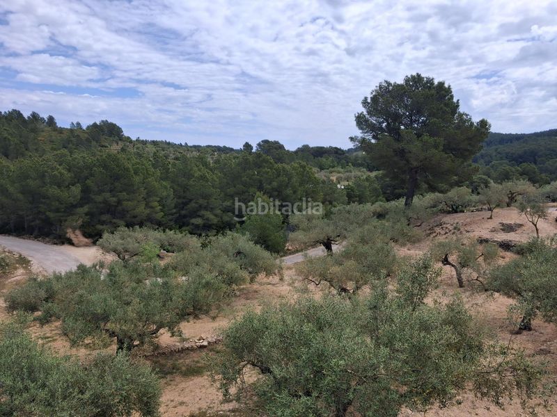 Foto 4cd1928a-8cec-46d6-b2ff-d76c0b7d86ca. Finca rústica a Perelló (El)