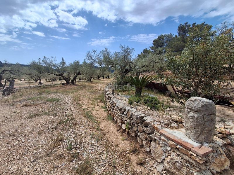 Foto 4f552329-127c-440e-b5b9-6a03e1bfecb4. Finca rústica a Perelló (El)