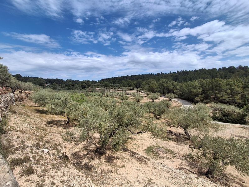 Foto 7c0b4320-6354-4f28-adeb-700ba40d5e44. Finca rústica a Perelló (El)