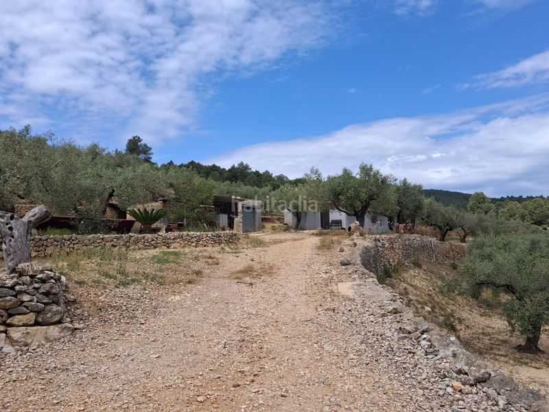Foto 96439c40-d5d1-4ac0-814c-625573ae9367. Finca rústica a Perelló (El)