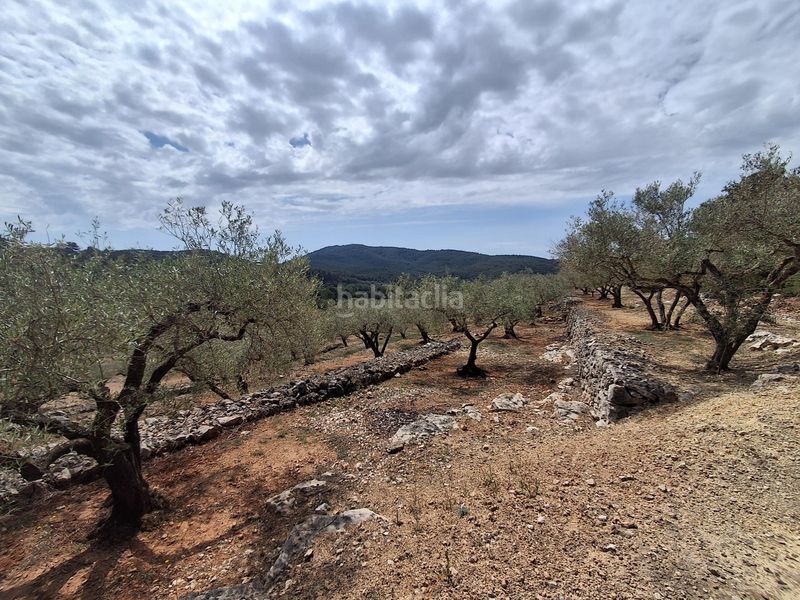 Foto ac000b46-57c1-4381-8c87-a36a0c60ee66. Finca rústica a Perelló (El)