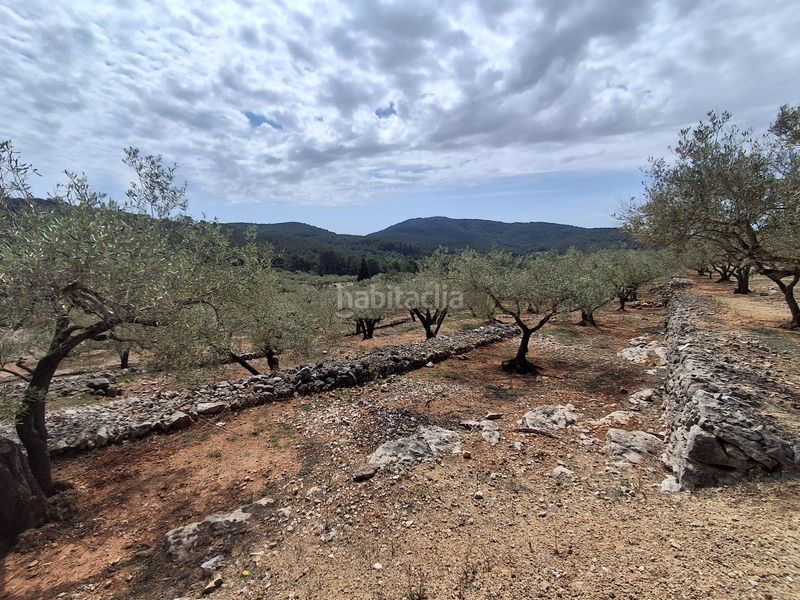 Foto d2ada439-b09b-4e25-a857-7fef3c2b3d43. Finca rústica a Perelló (El)