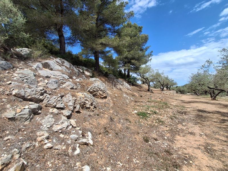 Foto d8531750-3058-404e-b1aa-25336f5877da. Finca rústica a Perelló (El)