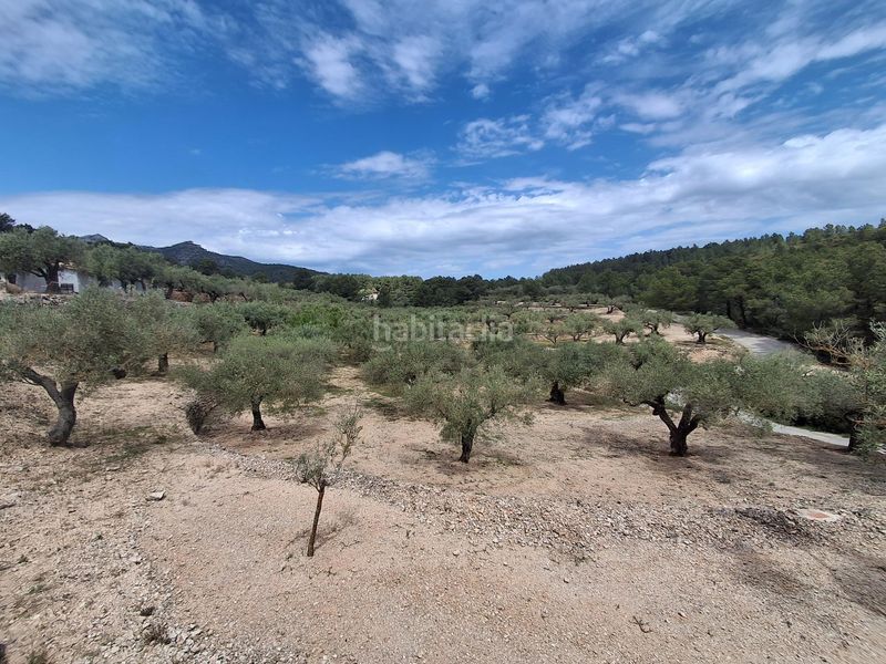 Foto db05a570-1a8d-40ad-87c9-e3cc01f6bee3. Finca rústica a Perelló (El)