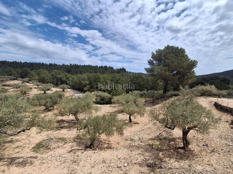 Foto dc66d557-1cb5-42ec-8809-daee907de980. Finca rústica a Perelló (El)