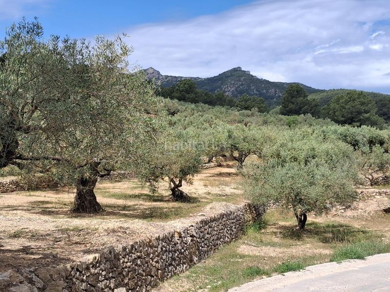 Foto f57e42c9-d8ac-44b0-8852-79724a0b9f27. Finca rústica a Perelló (El)