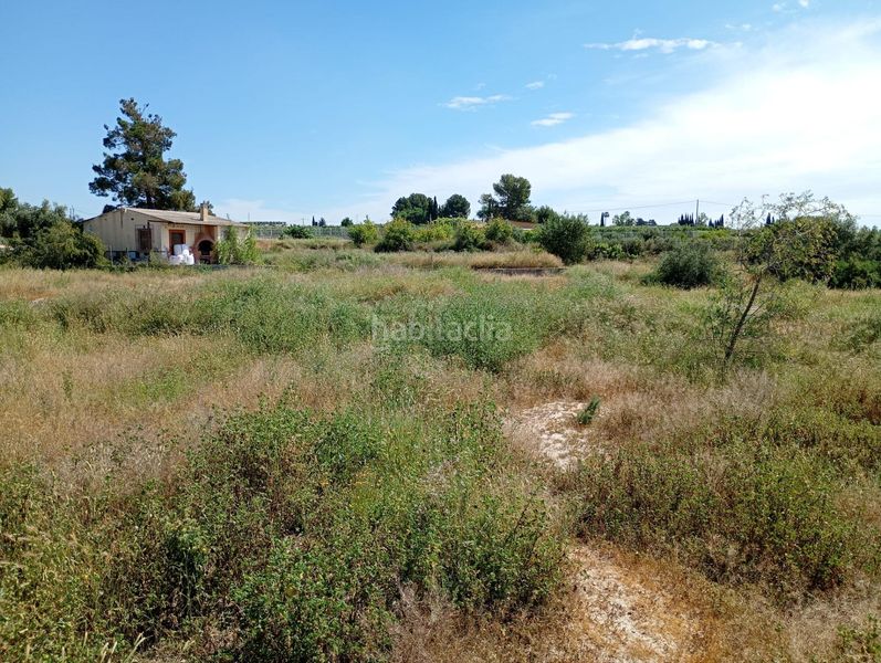Foto cd01f3e3-4372-4b1f-848d-225dd1fbc02c. Finca rústica a Lorquí