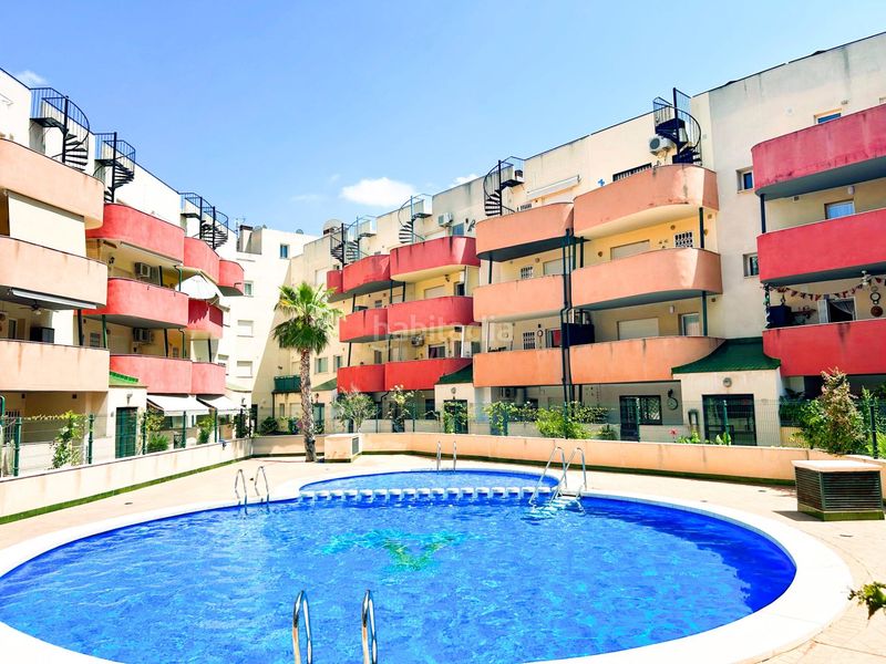 Foto ff80a54f-a32d-47d7-a644-ac297236924b. Pis amb piscina a Almoradí