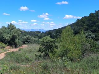 Propriété à Polígono19 paraje 251 hons 5. Espectacular finca de secano en las afueras de rasquera