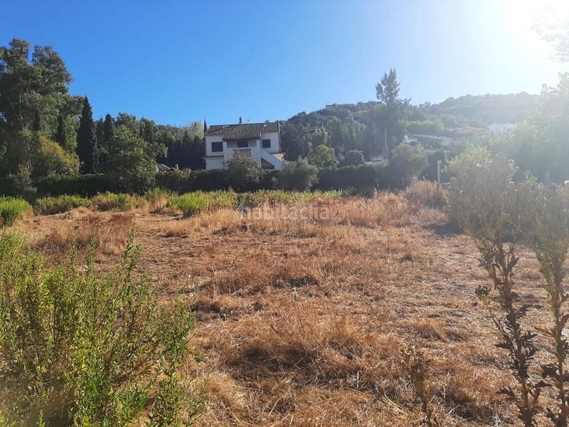 Foto befc7213-6af2-4e56-988d-d97204bc344f. Terreny residencial a Cazalla de la Sierra