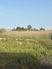 Landgut  Ceutí 12. Terreno rústico en venta en ceutí  4.400 m2