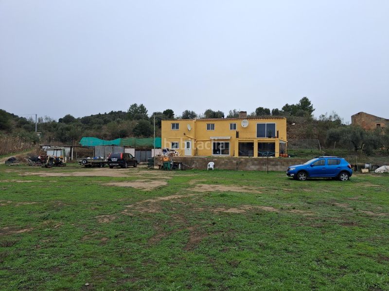 Foto 04135ca2-db13-4c18-88b9-59cc34a0aff9. Xalet a Riba-roja d´Ebre