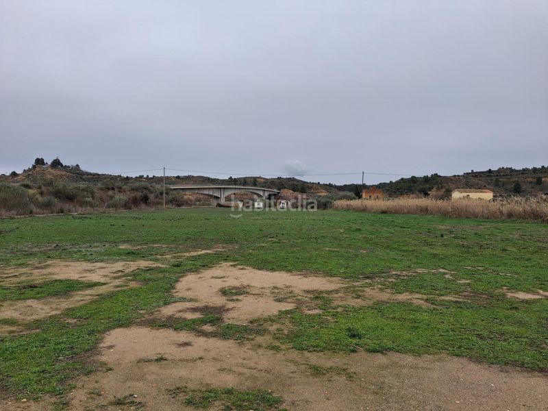 Foto 412ecb76-c6b4-4236-b343-afbce0553ddb. Xalet a Riba-roja d´Ebre
