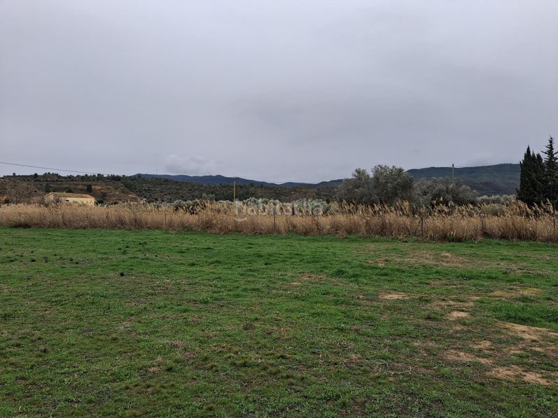 Foto 6609646a-27b9-44be-baf7-06e7ff67c5eb. Xalet a Riba-roja d´Ebre