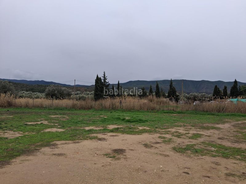 Foto 70d0e327-6cdd-4974-bbb4-a097808af1b0. Xalet a Riba-roja d´Ebre