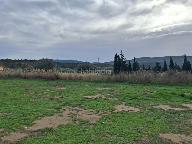 Foto 79a0334d-8aeb-4f29-b0be-ecd5eb10c74e. Xalet a Riba-roja d´Ebre