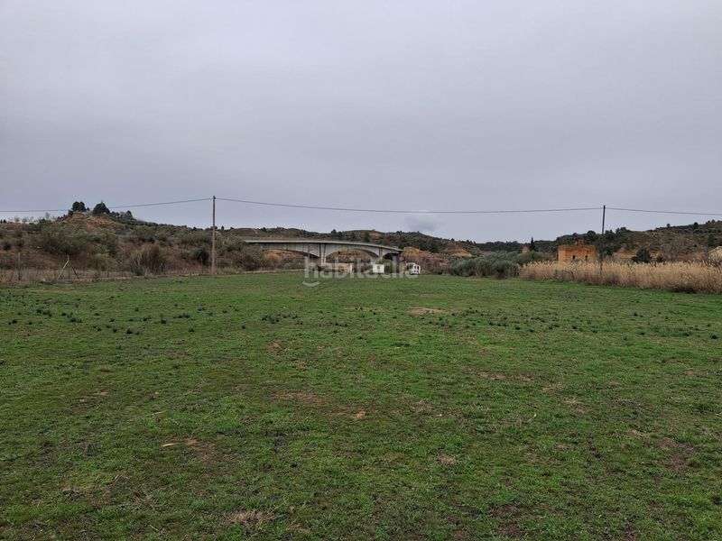 Foto 7cb80e93-d407-48f5-a42e-7854b70d7680. Xalet a Riba-roja d´Ebre