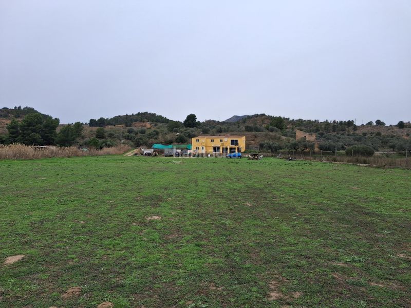 Foto 91268632-ed93-405f-add1-2f03e0c9a277. Xalet a Riba-roja d´Ebre