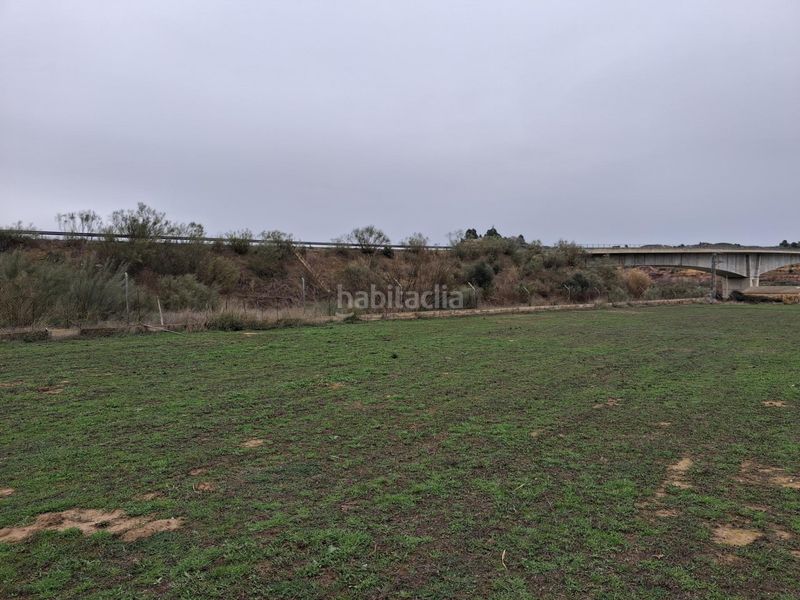 Foto b8849c72-63ca-4d54-b2aa-315f9695ba61. Xalet a Riba-roja d´Ebre