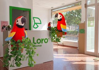 Traspàs Local Comercial  Calle de enric valor. Traspaso te interesa una academia de idiomas?