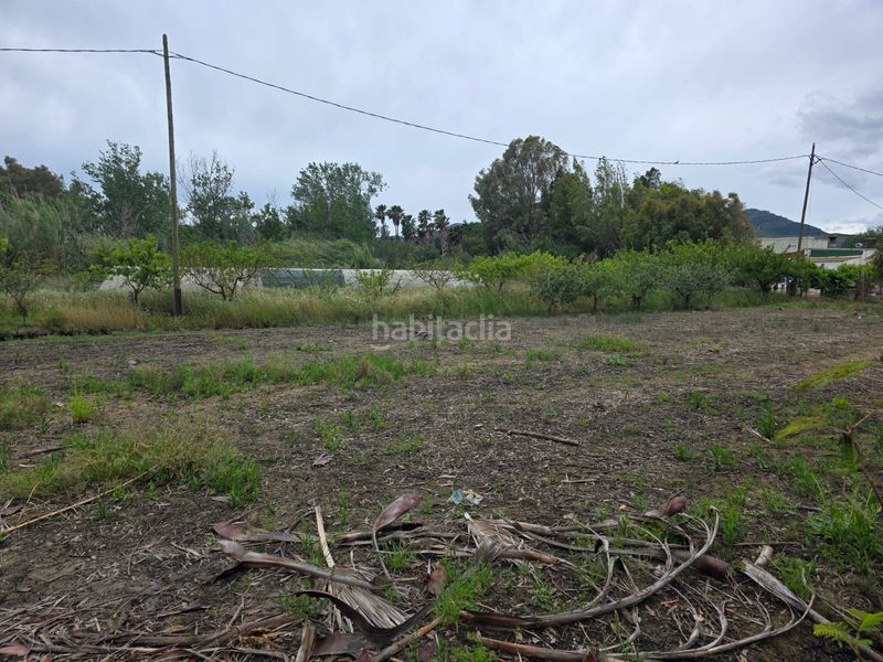 Foto 4a0a031f-cabd-47cf-864f-a86c3238d738. Finca rústica a calle de baltasar a Eucaliptus - Poble Nou del Delta Amposta