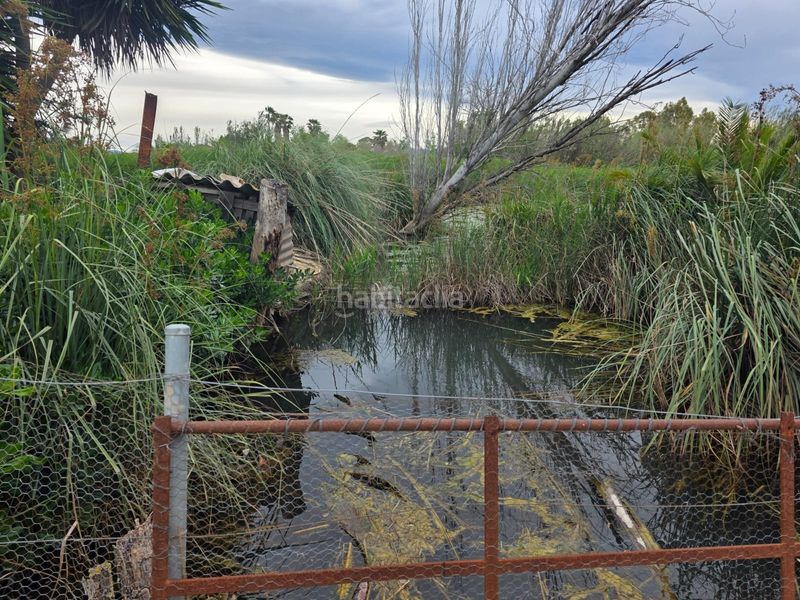 Foto 7ad8aad9-7117-4788-8bef-656fd7faeeb9. Finca rústica a calle de baltasar a Eucaliptus - Poble Nou del Delta Amposta