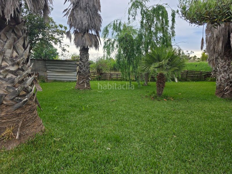 Foto 821e4777-ee1f-48b2-9057-b4289abb9829. Finca rústica a calle de baltasar a Eucaliptus - Poble Nou del Delta Amposta