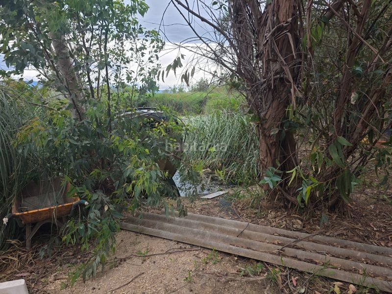 Foto b32f3ea9-ae25-4df5-addb-7305495653c8. Finca rústica a calle de baltasar a Eucaliptus - Poble Nou del Delta Amposta