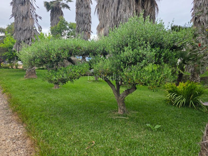 Foto b58de941-f60d-433a-a12d-fcd1932324ae. Finca rústica a calle de baltasar a Eucaliptus - Poble Nou del Delta Amposta