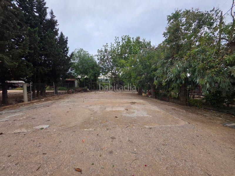 Foto e79cfa61-b2a9-4a28-977b-121a7226b4df. Finca rústica a calle de baltasar a Eucaliptus - Poble Nou del Delta Amposta