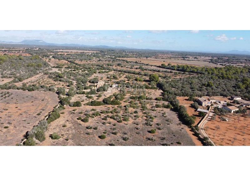 Foto 04204bee-1808-4cd0-b7f8-26d95b0bee6c. Masia a Llucmajor interior Llucmajor