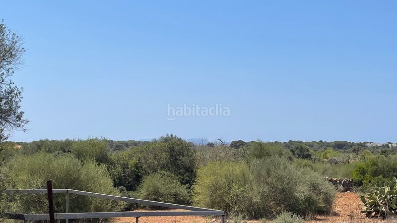 Foto 0f4a7e22-dbc8-459e-885f-d02106ce5a99. Masia a Llucmajor interior Llucmajor