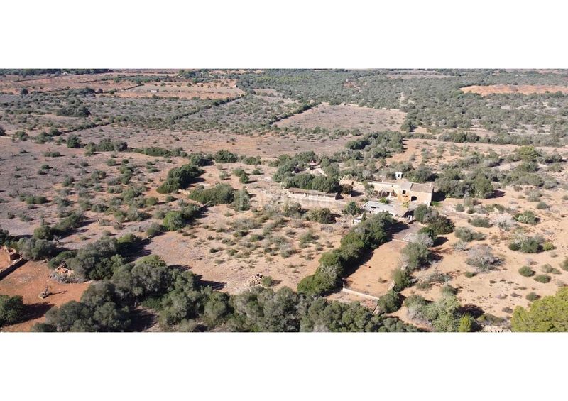 Foto 8d0def19-36e1-4272-b12b-c58666045ef2. Masia a Llucmajor interior Llucmajor