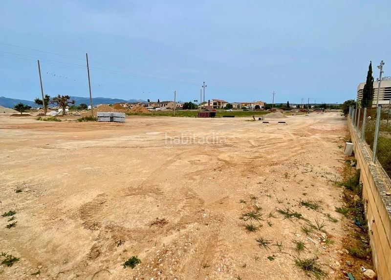 Foto 3a79de05-6e84-4221-832f-f8d0e8b16d55. Terreny residencial a Els pla de na Tesa Marratxí