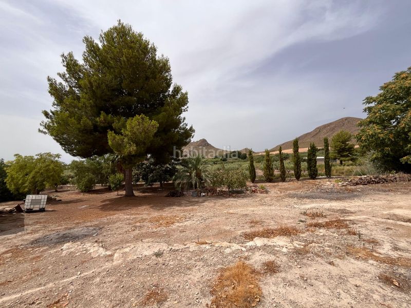 Foto b24913bb-60a8-4865-b3ec-7a074a39af97. Casa adossada amb aparcament a Tobarra