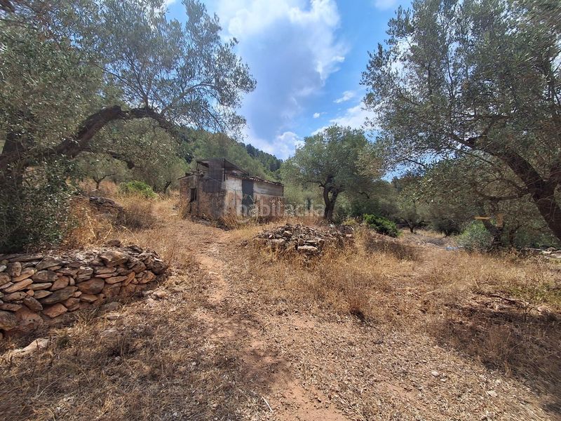 Foto 0eb0f500-8601-4455-8348-c9c5c1653f42. Masia a residencial a Tivissa