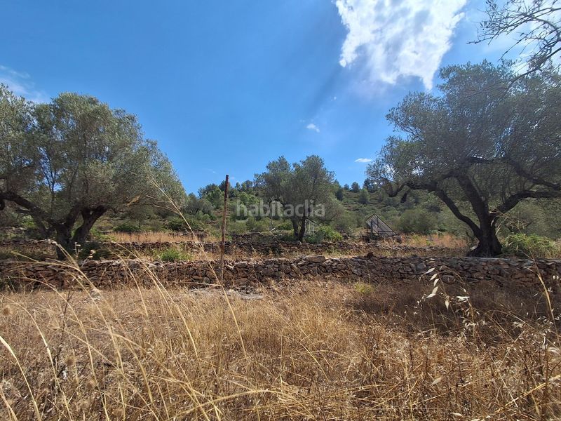 Foto 38d596a6-0292-42fb-8489-decbf56eb77b. Masia a residencial a Tivissa