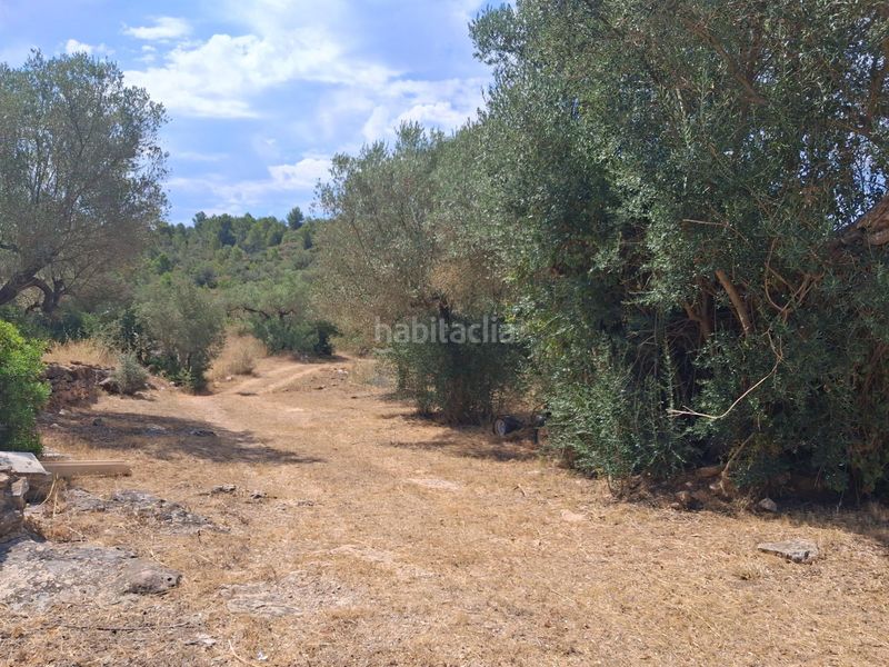 Foto 51ba32e6-282e-4446-889d-3b6a7fb6d326. Masia a residencial a Tivissa