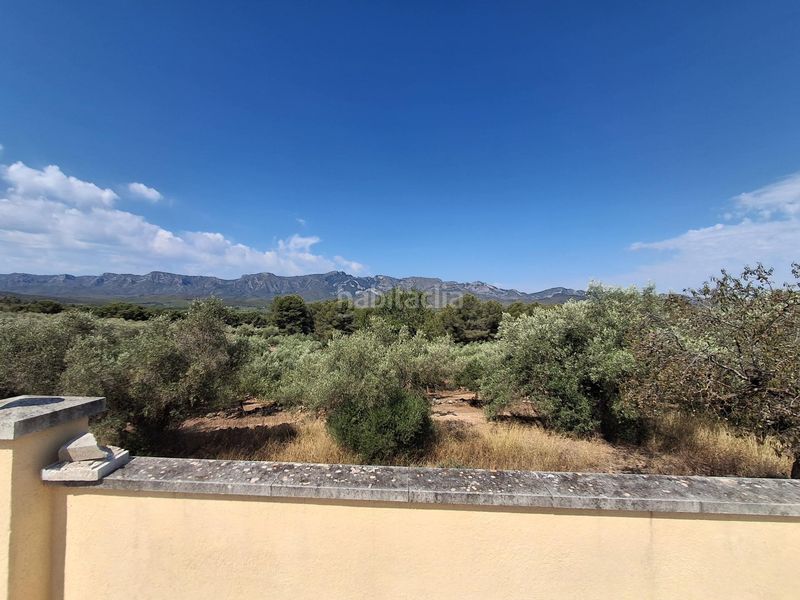 Foto 5b88e543-4809-4cab-87c9-cd0e945cc124. Masia a residencial a Tivissa