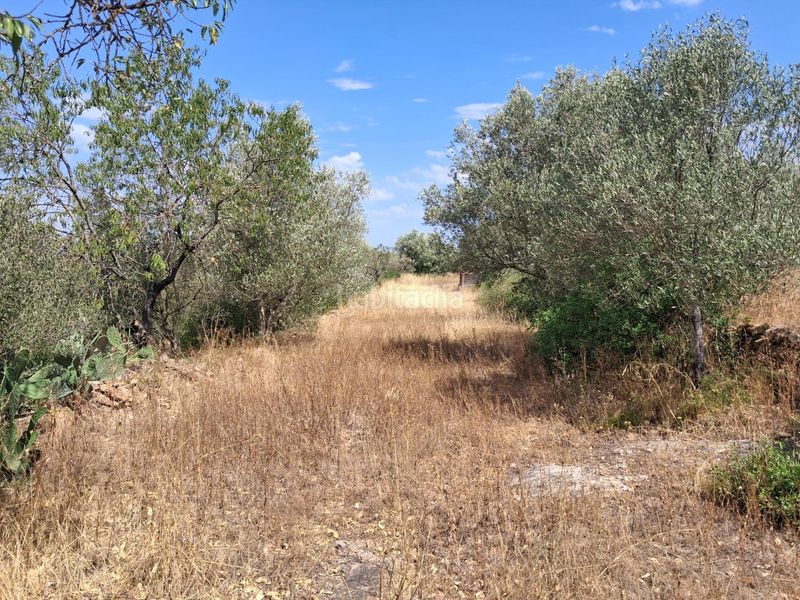 Foto b71b8232-68ce-49ac-b333-b7513b695e51. Masia a residencial a Tivissa