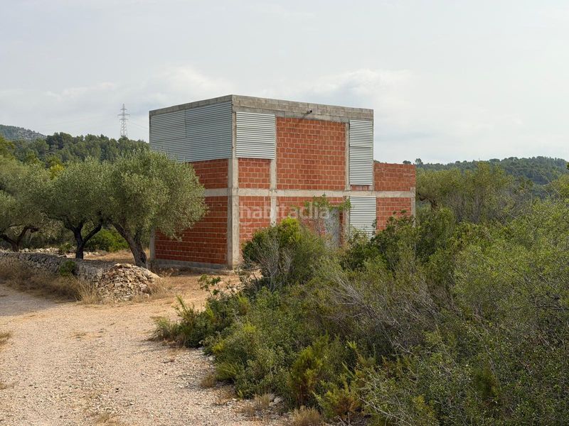 Foto 8dcf118f-3c3d-4cd0-a398-346d02d0c607. Masia a Ampolla (L´)