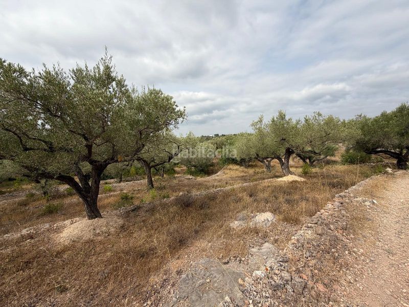 Foto b8641e66-745c-4b26-868b-b1e1d6b51c6b. Masia a Ampolla (L´)