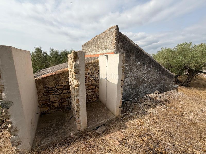 Foto f9cb8388-7a12-446f-85b1-ae616cdea47e. Masia a Ampolla (L´)
