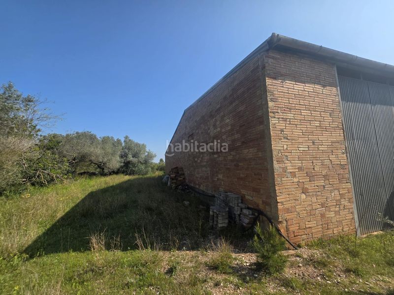 Foto 61f05193-887d-446a-b0ef-f838e5855ff0. Finca rústica a Roquetes