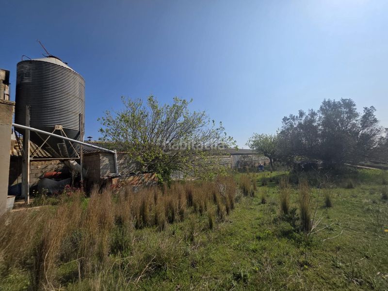 Foto 63702875-af87-4801-8f6a-00591fa9d23d. Finca rústica a Roquetes
