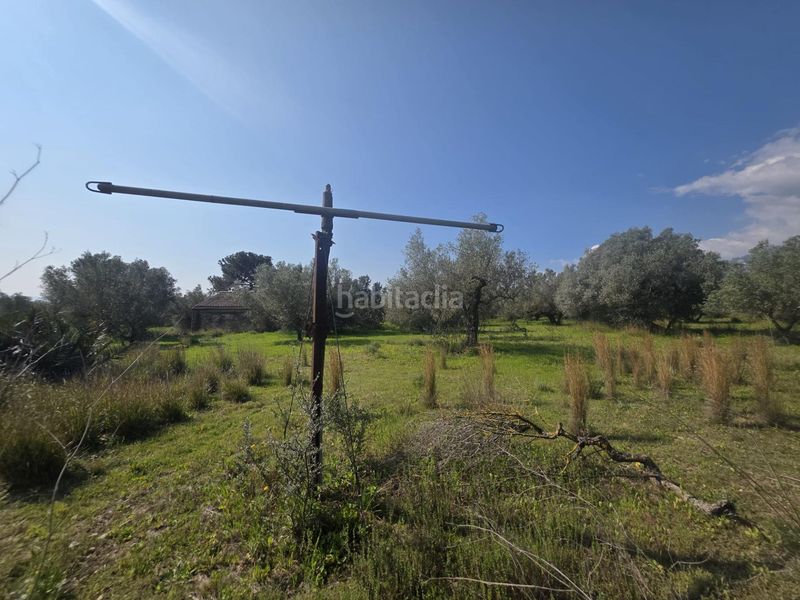 Foto 8539d89a-815f-43a6-a944-bd3a70825340. Finca rústica a Roquetes